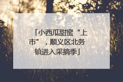小西瓜甜蜜“上市”，顺义区北务镇进入采摘季