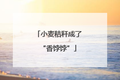小麦秸秆成了“香饽饽”
