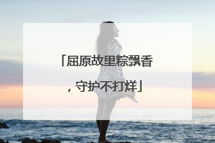 屈原故里粽飘香，守护不打烊