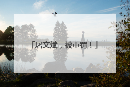 屠文斌，被重罚！