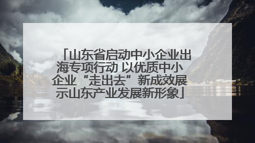 山东省启动中小企业出海专项行动 以优质中小企业“走出去”新成效展示山东产业发展新形象