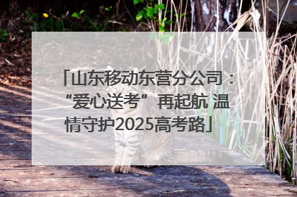 山东移动东营分公司：“爱心送考”再起航 温情守护2025高考路