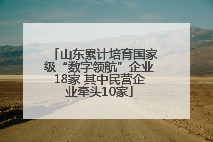 山东累计培育国家级“数字领航”企业18家 其中民营企业牵头10家