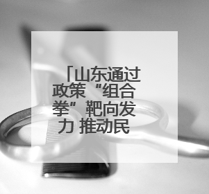 山东通过政策“组合拳”靶向发力 推动民营经济高质量发展