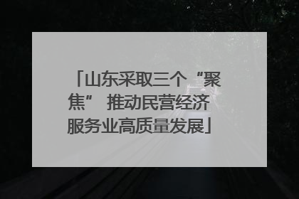 山东采取三个“聚焦” 推动民营经济服务业高质量发展