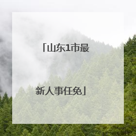 山东1市最新人事任免