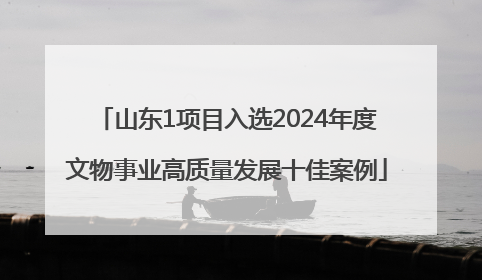 山东1项目入选2024年度文物事业高质量发展十佳案例