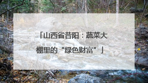 山西省昔阳：蔬菜大棚里的“绿色财富”