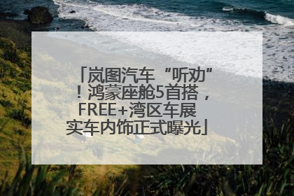 岚图汽车“听劝”！鸿蒙座舱5首搭，FREE+湾区车展实车内饰正式曝光
