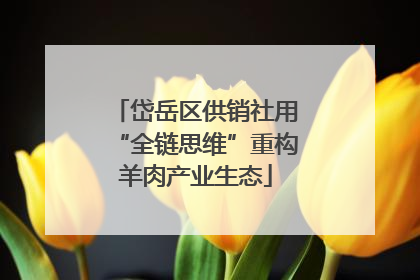 岱岳区供销社用“全链思维”重构羊肉产业生态