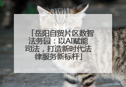 岳阳自贸片区数智法务园：以AI赋能司法，打造新时代法律服务新标杆