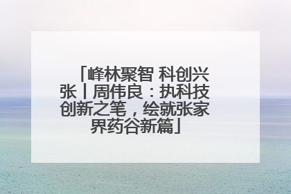 峰林聚智 科创兴张丨周伟良：执科技创新之笔，绘就张家界药谷新篇