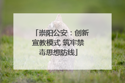 崇阳公安：创新宣教模式 筑牢禁毒思想防线