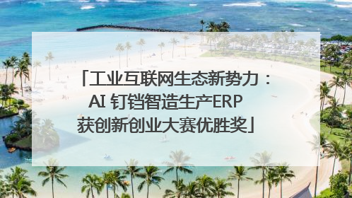 工业互联网生态新势力：AI 钉铛智造生产ERP获创新创业大赛优胜奖