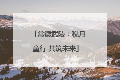 常德武陵：税月童行 共筑未来