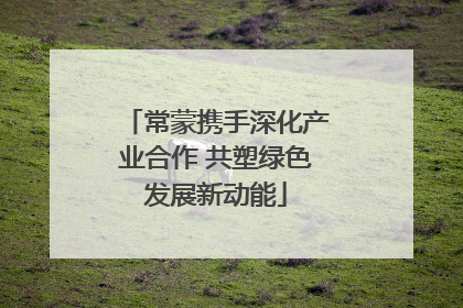 常蒙携手深化产业合作 共塑绿色发展新动能