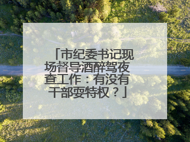 市纪委书记现场督导酒醉驾夜查工作：有没有干部耍特权？