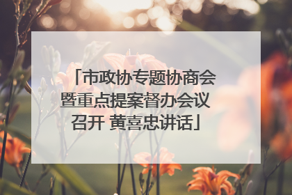 市政协专题协商会暨重点提案督办会议召开 黄喜忠讲话