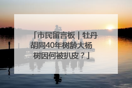 市民留言板｜牡丹胡同40年树龄大杨树因何被扒皮？