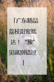 广东精品荔枝甜蜜抵达！“豫”见就别错过