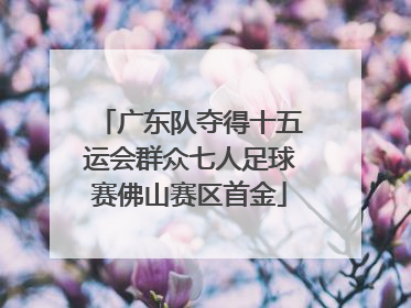 广东队夺得十五运会群众七人足球赛佛山赛区首金