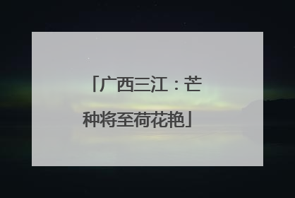 广西三江：芒种将至荷花艳