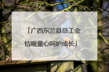 广西东兰县总工会情暖童心呵护成长