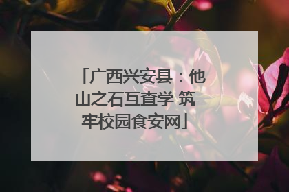 广西兴安县：他山之石互查学 筑牢校园食安网