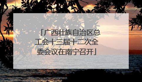广西壮族自治区总工会十三届十二次全委会议在南宁召开