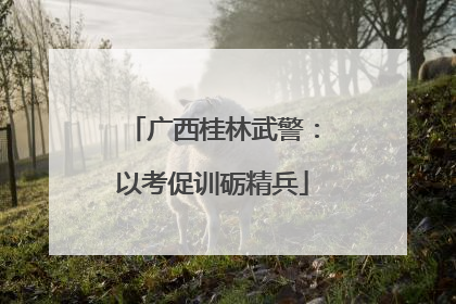 广西桂林武警：以考促训砺精兵