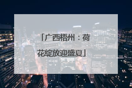 广西梧州：荷花绽放迎盛夏