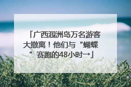 广西涠洲岛万名游客大撤离！他们与“蝴蝶”赛跑的48小时→
