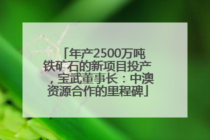 年产2500万吨铁矿石的新项目投产，宝武董事长：中澳资源合作的里程碑