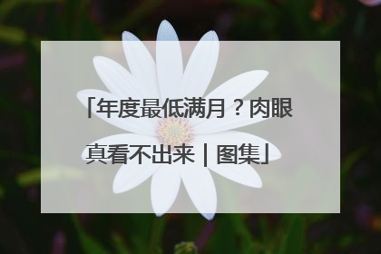 年度最低满月？肉眼真看不出来｜图集