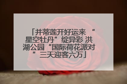 并蒂莲开好运来 “星空牡丹”绽异彩 洪湖公园“国际荷花派对”三天迎客六万