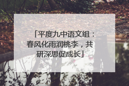 平度九中语文组：春风化雨润桃李，共研深思促成长