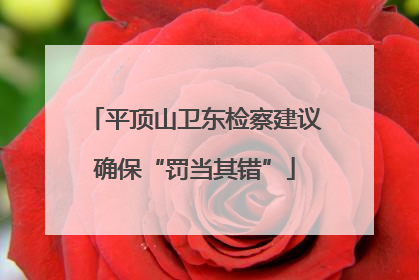 平顶山卫东检察建议确保“罚当其错”