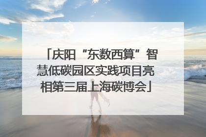 庆阳“东数西算”智慧低碳园区实践项目亮相第三届上海碳博会