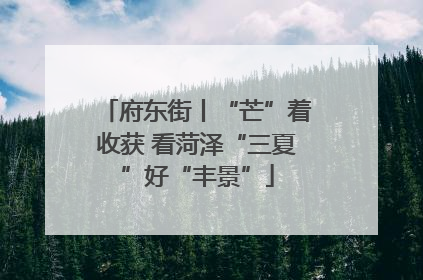 府东街丨“芒”着收获 看菏泽“三夏”好“丰景”