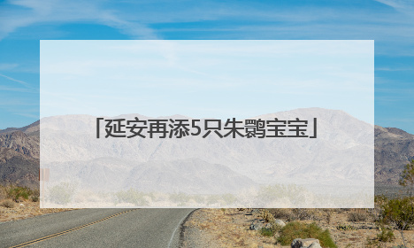 延安再添5只朱鹮宝宝