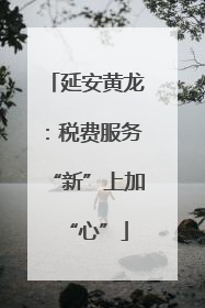 延安黄龙：税费服务“新”上加“心”