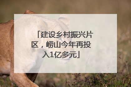 建设乡村振兴片区，崂山今年再投入1亿多元
