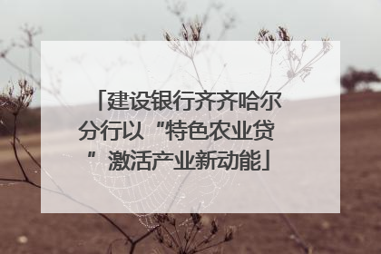 建设银行齐齐哈尔分行以“特色农业贷”激活产业新动能