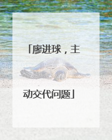 廖进球，主动交代问题