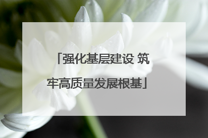 强化基层建设 筑牢高质量发展根基