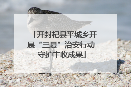 开封杞县平城乡开展“三夏”治安行动 守护丰收成果