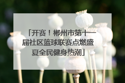 开赛！郴州市第十一届社区篮球联赛点燃盛夏全民健身热潮