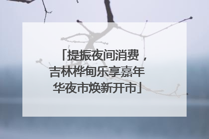 提振夜间消费，吉林桦甸乐享嘉年华夜市焕新开市
