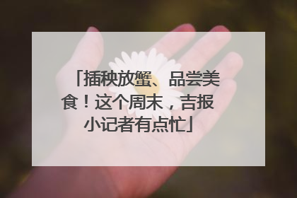 插秧放蟹、品尝美食！这个周末，吉报小记者有点忙