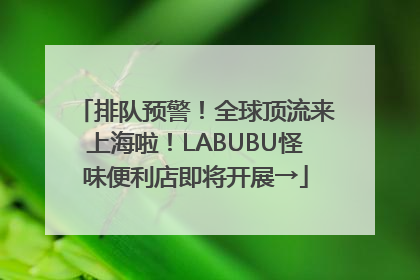 排队预警！全球顶流来上海啦！LABUBU怪味便利店即将开展→